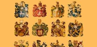 ‘Aparența’ (‘imaginile’) zodiilor (rāśis)