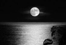 ‘Mările’ Lunii și psihismul uman