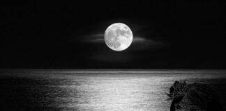 ‘Mările’ Lunii și psihismul uman