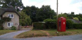 Luna, Femeia și biblioteca din cabina telefonică