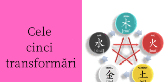 Wu Xing – Cele 5 transformări