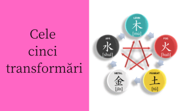 Wu Xing – Cele 5 transformări
