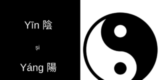 Yin și Yang