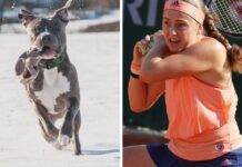 Marte-Rahu, atitudinea ‘pitbull’ și Jelena Ostapenko