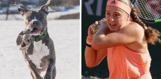 Marte-Rahu, atitudinea ‘pitbull’ și Jelena Ostapenko