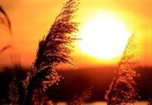 Astrologie și reîncarnare