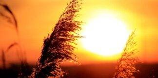 Astrologie și reîncarnare