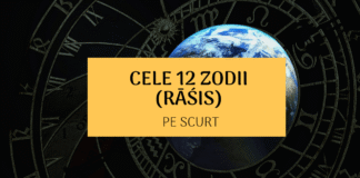 Pe scurt despre zodiile solare (rashis) în Jyotisha