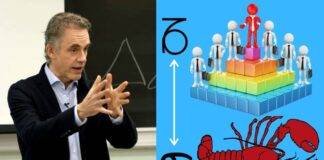 Jordan Peterson, Ierarhia și Homarul