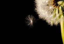 ‘Astrologia spirituală’… și alte pleonasme