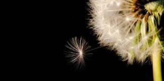 ‘Astrologia spirituală’… și alte pleonasme