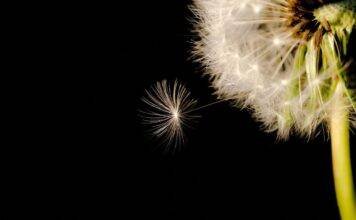 ‘Astrologia spirituală’… și alte pleonasme