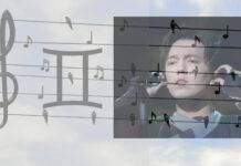 Gemenii, registrul vocal și calitatea androgină