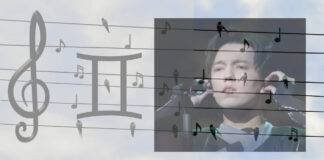 Gemenii, registrul vocal și calitatea androgină