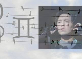 Gemenii, registrul vocal și calitatea androgină