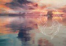 Despre semnificația metafizică a Zodiei Peștilor