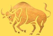 Taurul și nevoia de substanță