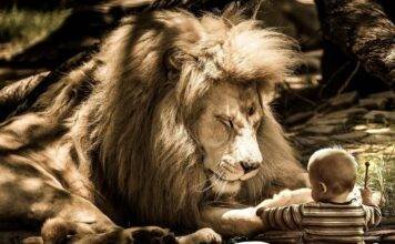 Zodia Leului și nașterea personalității